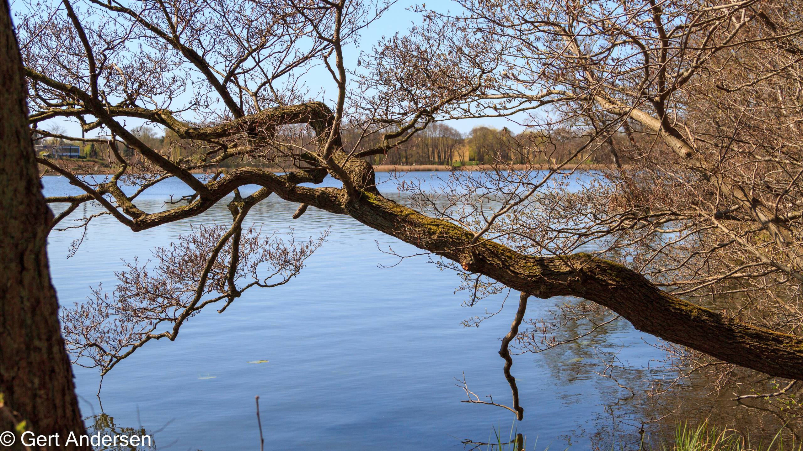 Lyngby Sø (19 of 37) compressed